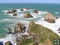 thn_The Catlins Coast 023.jpg